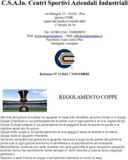 C.S.A.In. Centri Sportivi Aziendali Industriali - SNSP CSAIn Pisa