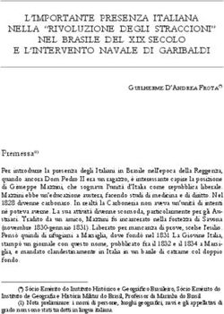 L'IMPORTANTE PRESENZA ITALIANA NELLA "RIVOLUZIONE DEGLI STRACCIONI" NEL BRASILE DEL XIX SECOLO E L'INTERVENTO NAVALE DI GARIBALDI