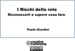 I Rischi della rete Riconoscerli e sapere cosa fare - Paolo Giardini - solution.it