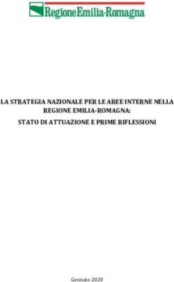 Gennaio 2020 - LA STRATEGIA NAZIONALE PER LE AREE INTERNE NELLA REGIONE EMILIA-ROMAGNA: STATO DI ATTUAZIONE E PRIME RIFLESSIONI