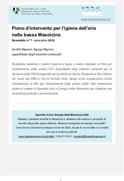 Piano d'intervento per l'igiene dell'aria nella bassa Mesolcina - Mesolcina Aria