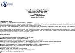 PROGRAMMAZIONE DIDATTICA ANNO SCOLASTICO 2019-2020 CLASSE 3 B - Liceo Valsalice