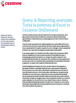 QUERY & REPORTING AVANZATO. TUTTA LA POTENZA DI EXCEL IN CEZANNE ONDEMAND