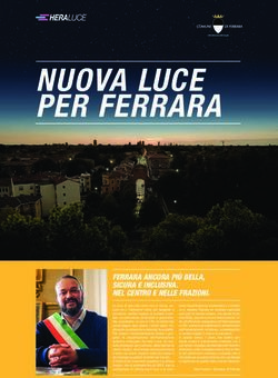 NUOVA LUCE PER FERRARA - FERRARA ANCORA PI&Ugrave; BELLA, SICURA E INCLUSIVA. NEL CENTRO E NELLE FRAZIONI.