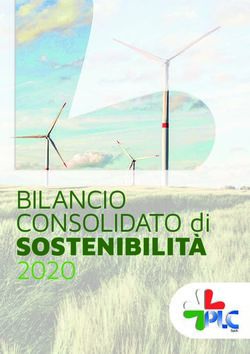 BILANCIO CONSOLIDATO di - PLC Spa