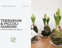 TERRARIUM & PICCOLI GIARDINI - CATALOGO 2020 - IL VOSTRO GIORNO PIÙ BELLO - i giardini di ellis