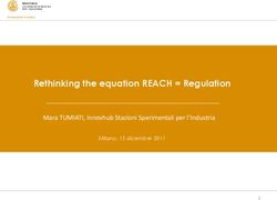 Rethinking the equation REACH = Regulation - Mara TUMIATI, Innovhub Stazioni Sperimentali per l'Industria