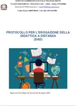 PROTOCOLLO PER L'EROGAZIONE DELLA DIDATTICA A DISTANZA (DAD) - Istituto Comprensivo Vincenzo Monti