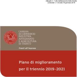 Piano di miglioramento per il triennio 2019-2021 - Allegato n. 1 alla deliberazione della Giunta camerale n. 4 di data 18 gennaio 2019 - Camera di ...