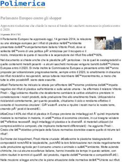 Parlamento Europeo contro gli shopper - Polimerica