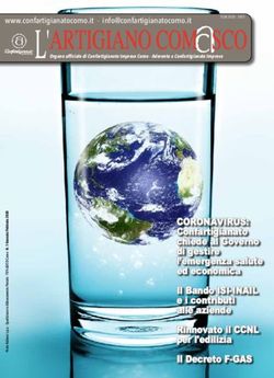 CORONAVIRUS: Confartigianato Como