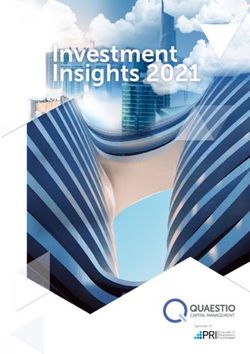 Investment Insights 2021 - Quaestio Capital Management