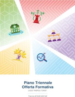 Piano Triennale Offerta Formativa - LICEO "RISPOLI-TONDI" Triennio 2019/20-2021/22 - Liceo "Rispoli-Tondi"