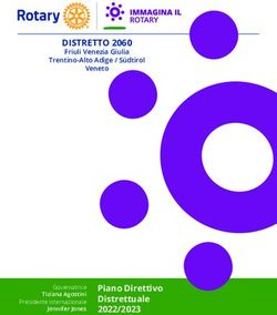 DISTRETTO 2060 Friuli Venezia Giulia - Piano Direttivo Distrettuale
