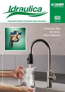60 Protezione della rete idrica, fino al rubinetto - PUBBLICAZIONE PERIODICA DI INFORMAZIONE TECNICO-PROFESSIONALE - Caleffi