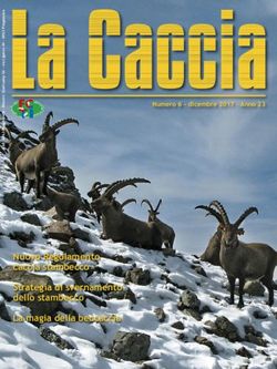 Nuovo Regolamento caccia stambecco Strategia di svernamento dello stambecco La magia della beccaccia - Numero 6 - dicembre 2017 - Anno 23 - FCTI