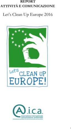 Let's Clean Up Europe 2016 - REPORT ATTIVIT&Agrave; E COMUNICAZIONE - Settimana Europea per la Riduzione ...