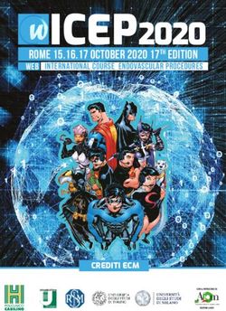 ICEP2020 ROME 15.16.17 OCTOBER 2020 17th EDITION - WEB INTERNATIONAL COURSE ENDOVASCULAR PROCEDURES - Business ...