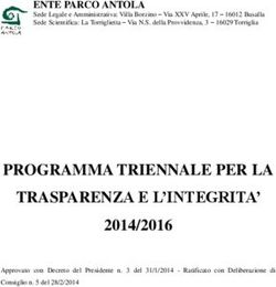 PROGRAMMA TRIENNALE PER LA TRASPARENZA E L'INTEGRITA'