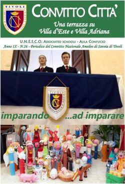 CONVITTO CITTA' - imparando ...ad imparare - Una terrazza su Villa d'Este e Villa Adriana - Convitto Tivoli