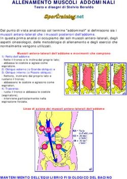 ALLENAMENTO MUSCOLI ADDOMINALI