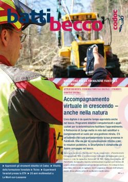 Accompagnamento virtuale in crescendo - anche nella natura - Codoc
