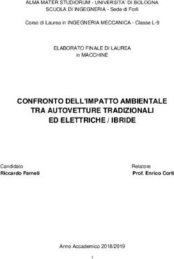 CONFRONTO DELL'IMPATTO AMBIENTALE TRA AUTOVETTURE TRADIZIONALI ED ELETTRICHE / IBRIDE
