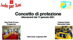 Concetto di protezione - Allenamenti dal 11 gennaio 2021 Dojo Punto di Luce - Judo Budo Club Vezia-Pregassona