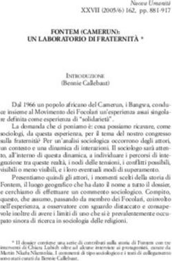 FONTEM (CAMERUN): UN LABORATORIO DI FRATERNITÀ * - Fondazione Tony Weber