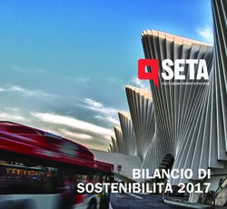 BILANCIO DI SOSTENIBILITÀ 2017 - Seta