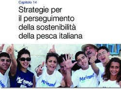 Strategie per il perseguimento della sostenibilit&agrave; della pesca italiana