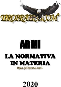 ARMI - 2020 LA NORMATIVA IN MATERIA - Tiropratico.com