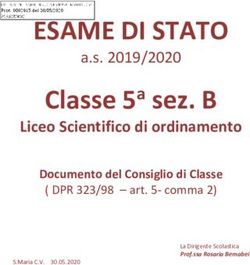 ESAME DI STATO Classe 5a sez. B - Liceo Scientifico di ordinamento - Amaldi Nevio