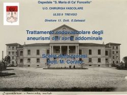 Trattamento endovascolare degli aneurismi dell'aorta addominale Scelta della protesi Dott. M. Corato - Ospedale "S. Maria di Ca' Foncello"