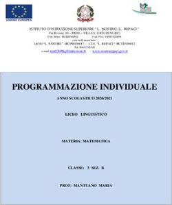 PROGRAMMAZIONE INDIVIDUALE - Repaci