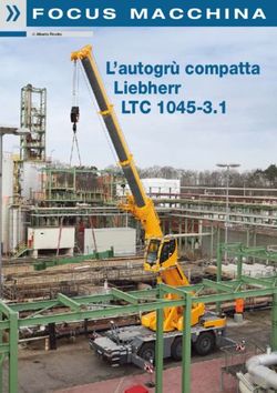L'autogr&ugrave; compatta Liebherr - LTC 1045-3.1 Focus macchina