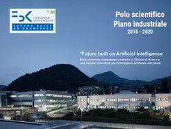 Polo scientifico Piano industriale 2018 - 2020 * AI