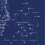 ORGANIZZAZIONE E SERVIZI - Federchimica