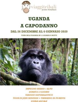 UGANDA A CAPODANNO DAL 26 DICEMBRE AL 6 GENNAIO 2020 - IMPEGNO MEDIO / ALTO DURATA 12 GIORNI - Viaggitribali Tour Operator