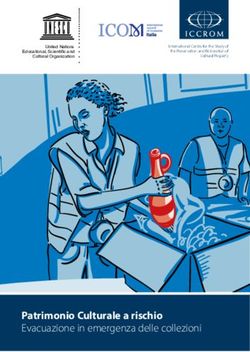 Patrimonio Culturale a rischio - Evacuazione in emergenza delle collezioni