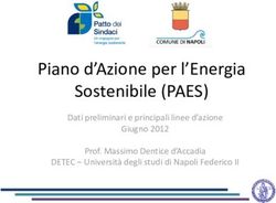 Piano d'Azione per l'Energia Sostenibile (PAES) - Dati preliminari e principali linee d'azione Giugno 2012 Prof. Massimo Dentice d'Accadia DETEC ...