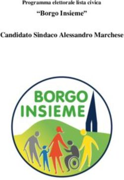 "Borgo Insieme" Candidato Sindaco Alessandro Marchese - Programma elettorale lista civica - Comune di Borgo Ticino