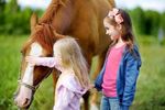 PET THERAPY CATALOGO FORMAZIONE - La Terra di Hope