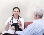 PET THERAPY CATALOGO FORMAZIONE - La Terra di Hope