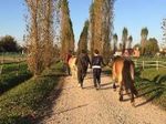PET THERAPY CATALOGO FORMAZIONE - La Terra di Hope