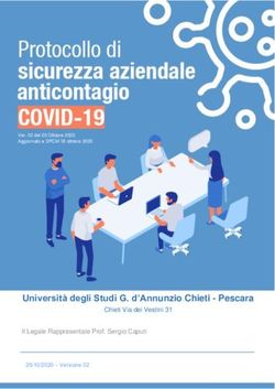 Università degli Studi G. d'Annunzio Chieti - Pescara - Chieti Via dei Vestini 31 Il Legale Rappresentate Prof. Sergio Caputi - UniCH