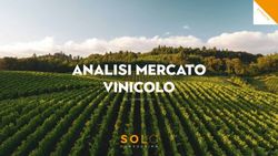 ANALISI MERCATO VINICOLO - (al dicembre 2022) - Solo Consulting