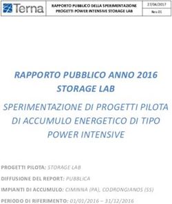 RAPPORTO PUBBLICO ANNO 2016 STORAGE LAB - SPERIMENTAZIONE DI PROGETTI PILOTA DI ACCUMULO ENERGETICO DI TIPO POWER INTENSIVE