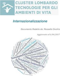 Internazionalizzazione - Aggiornato al 6/04/2017 Documento Redatto da: Rossella Onofrio - Cluster TAV
