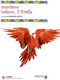 Scopriamo insieme... il Brasile - CREMI